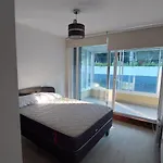 Departamento En Pucon