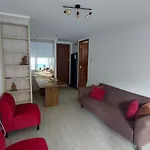 Departamento En Pucon